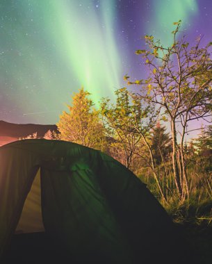 Büyük alacalı güzel resmini canlı Aurora Borealis, Aurora Polaris, Ayrıca biliyorum Kuzey ışıkları gece gökyüzünde olarak Norveç, Lofoten Adaları