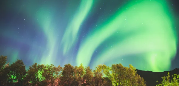 美丽的图画，大量五颜六色的充满活力的北极光，极光，也知道作为北极光在夜空中在挪威罗弗敦群岛上空 — 图库照片