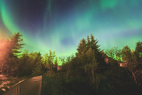 Schönes Bild von massiven bunten, lebendigen Polarlichtern, Polarlichtern, die auch als Nordlichter am Nachthimmel über Norwegen, den erhabenen Inseln bekannt sind — Stockfoto