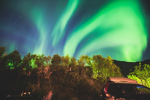 美丽的图画，大量五颜六色的充满活力的北极光，极光，也知道作为北极光在夜空中在挪威罗弗敦群岛上空 — 图库照片