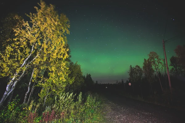 Bella immagine di massiccia multicolore vibrante Aurora Borealis, Aurora Polaris, noto anche come aurora boreale nel cielo notturno sopra la Norvegia, Isole Lofoten — Foto Stock