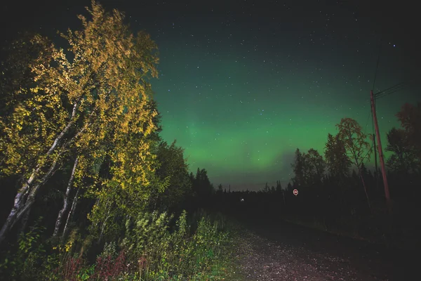 Krásný obrázek masivní výkupnu pulzující Aurora Borealis, Aurora Polaris, nazývané také severní světla na noční obloze nad Norskem, Lofoten ostrovy — Stock fotografie