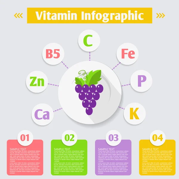 Vitaminas y minerales en las uvas . — Vector de stock
