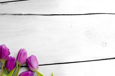 Köşedeki birkaç Lale ile beyaz plakalar arka plan