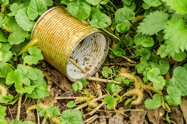 Stagno arrugginito in erba — Foto Stock