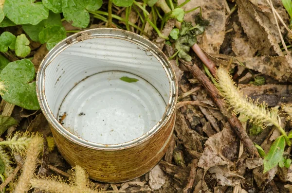 Rusty tin in grass — Stock Photo, Image