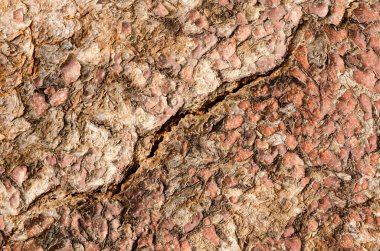 Cracky ahşap yüzey.