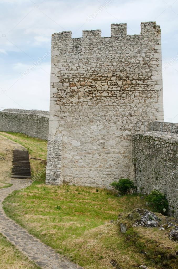 Castle tower