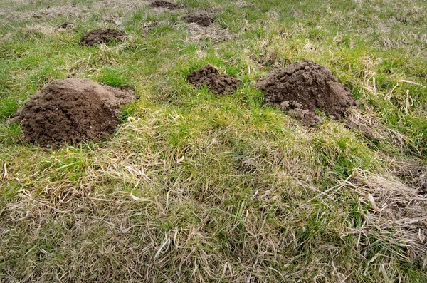 Molehills