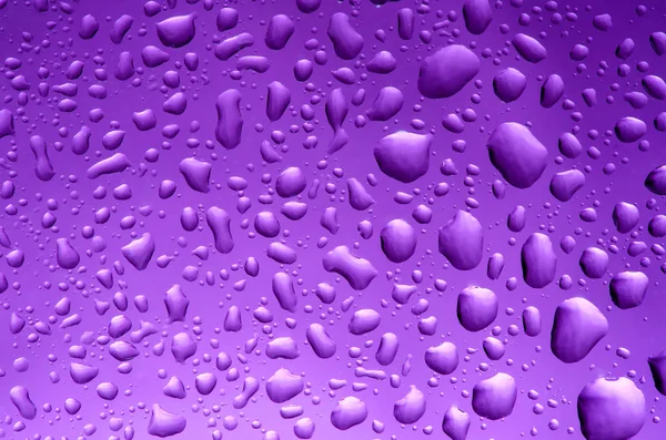 Фіолетовий візерунок — стокове фото
