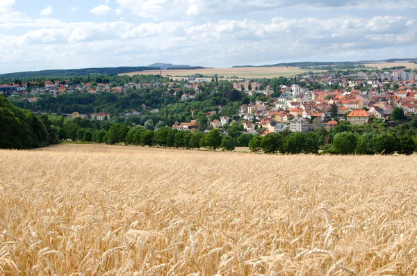 Paesaggio estivo orizzontale — Foto Stock