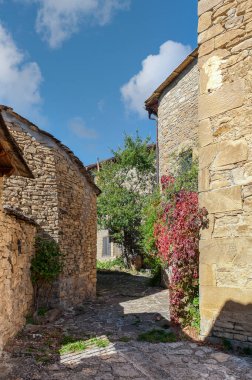 Osia, Aragon 'un Huesca ili' nde, Jaca belediyesine bağlı bir İspanyol kasabasıdır..