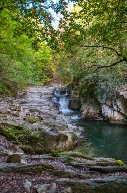Ochagavia İspanya 'nın Roncal-Salazar bölgesinde, Salazar Vadisi' nde, Merindad de Sangesa bölgesinde, Navarre özerk bölgesinde bulunan bir şehirdir.