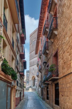 Zumaia, İspanya 'nın Bask Özerk Bölgesi' nde, Gipuzkoa eyaletinde yer alan bir şehirdir..