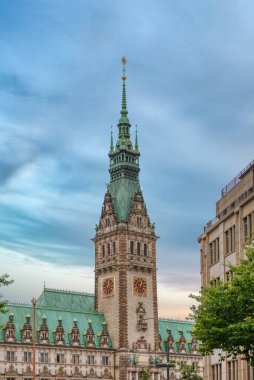 Hamburg-Mitte, Almanya 'nın Hamburg eyaletinde yer alan bir şehirdir. Hamburg-Altstadt ve Neustadt ilçeleri de Hamburg-Mitte 'nin bir parçasıdır..