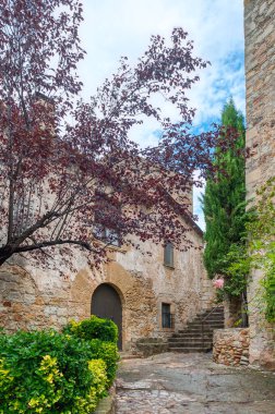 Pals, Katalonya 'nın Gerona eyaletinde yer alan bir belediyedir.