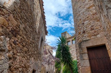 Pals, Katalonya 'nın Gerona eyaletinde yer alan bir belediyedir.