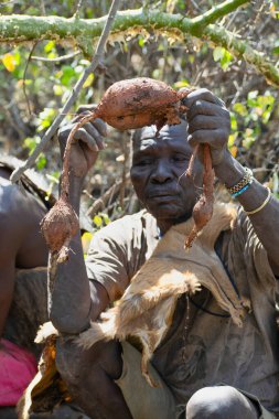 Buşmanlar Güney Afrika 'nın yerli halklarıdır. Büyük oranda avcı toplayıcılar. Tanzanya, Afrika