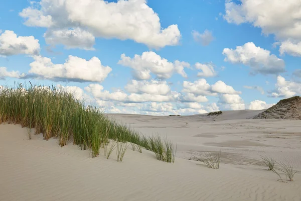 Slovinski Nationalpark Leba Sanddyn Vid Östersjön — Stockfoto