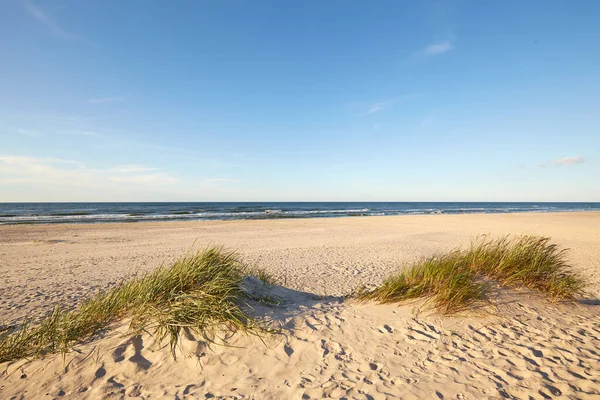 Slovinski Nationalpark Leba Sanddyn Vid Östersjön — Stockfoto