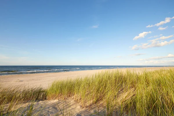 Slovinski Nationalpark Leba Sanddyn Vid Östersjön — Stockfoto