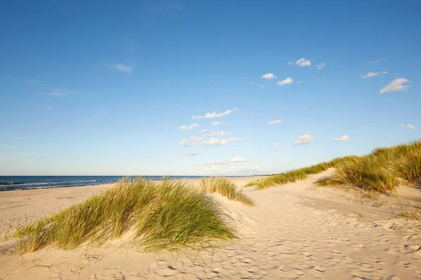 Словинский Национальный Парк Песчаная Дюна Леба Балтийском Побережье — стоковое фото