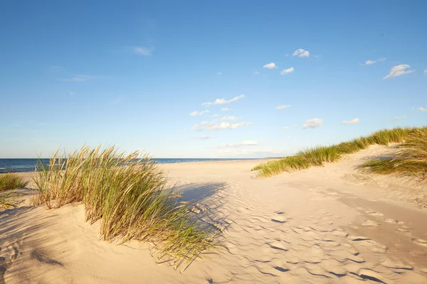 Slovinski national park, Leba sand dune on the Baltic coast