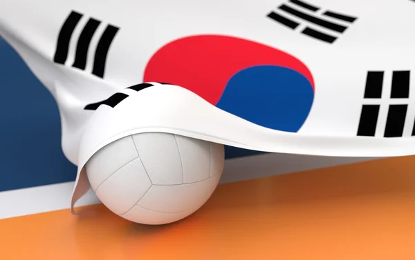 Flagge Südkoreas mit Meisterschaft im Volleyball — Stockfoto