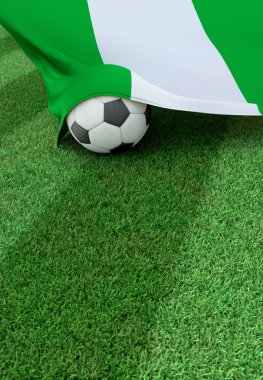 Futbol topu ve Nijerya, yeşil çim ulusal bayrak