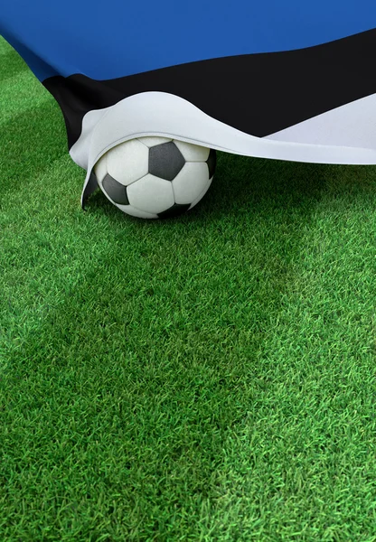Футбольный мяч и национальный флаг Эстонии, зеленая трава — стоковое фото