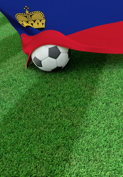 Voetbal en de nationale vlag van Liechtenstein, groen gras — Stockfoto