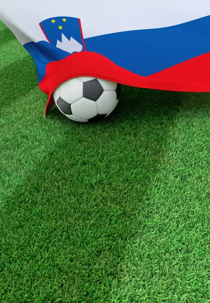 Fußball und slowenische Nationalflagge, grünes Gras — Stockfoto
