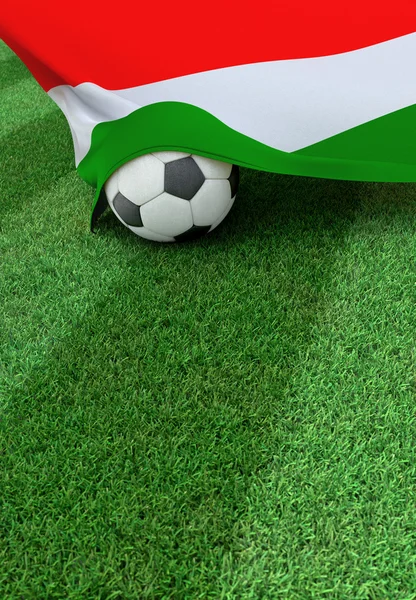 足球和国旗的匈牙利，绿草 免版税图库图片