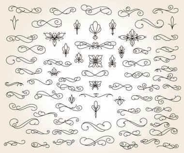 Çiçeksel dekoratif elementler seti. Doğrusal tasarım..