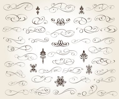 Çiçeksel dekoratif elementler seti.