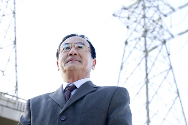 Businessman in Front of Power Lines — Stock Photo, Image