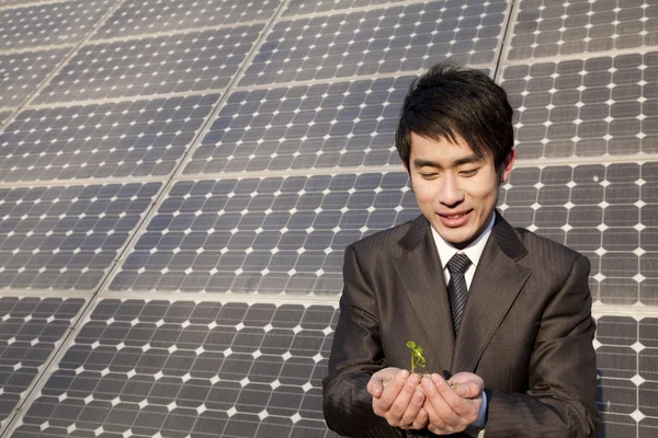 Businessman cupping planta na frente do painel solar — Fotografia de Stock