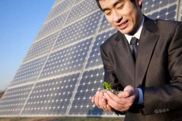 Businessman cupping planta na frente do painel solar — Fotografia de Stock