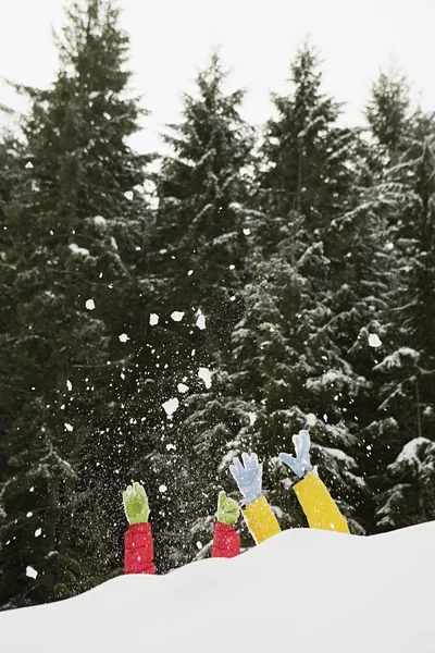 Mensen in het besneeuwde forest — Stockfoto