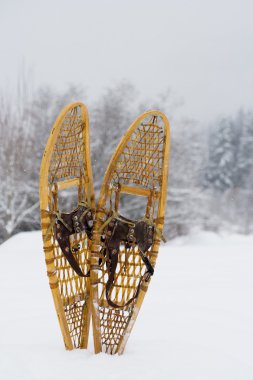 Snow shoes in snow clipart