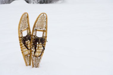 Snow shoes in the forest clipart