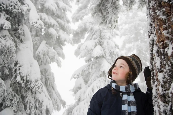 Jongen in besneeuwde bos — Stockfoto