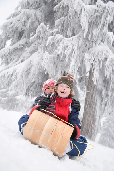 Garçons en luge dans la forêt enneigée — Photo