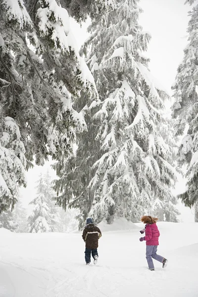 Kinderen in het besneeuwde forest — Stockfoto