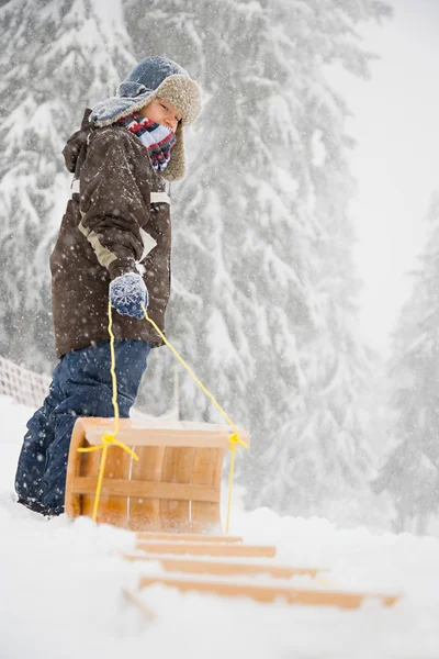Pojke med kälke i den snöiga skogen — Stockfoto