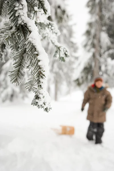 Pojke i den snöiga skogen — Stockfoto