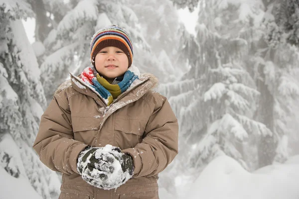 Rapaz com uma bola de neve na floresta nevada — Fotografia de Stock