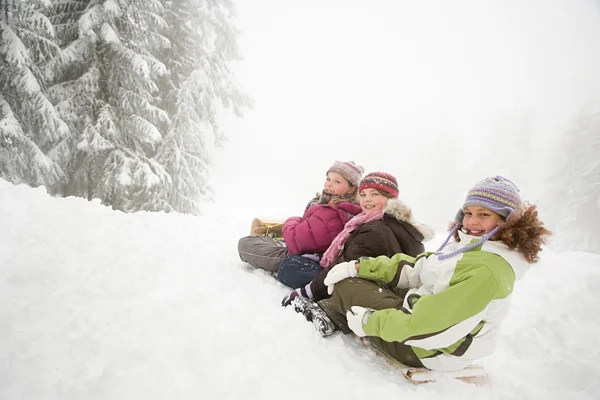 Bambini in slittino nella foresta innevata — Foto Stock