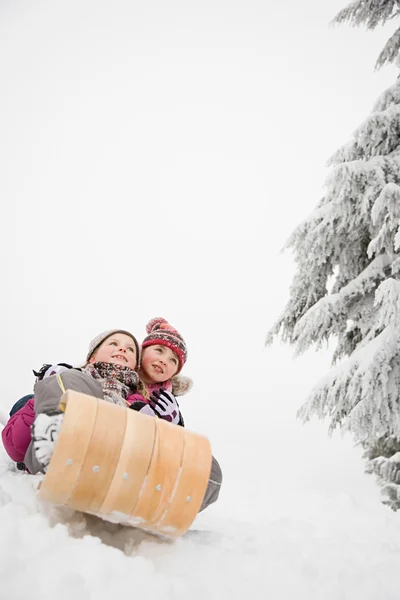 Tjejer på kälke i den snöiga skogen — Stockfoto