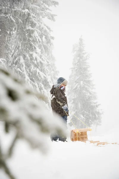 Pojke med kälke i den snöiga skogen — Stockfoto